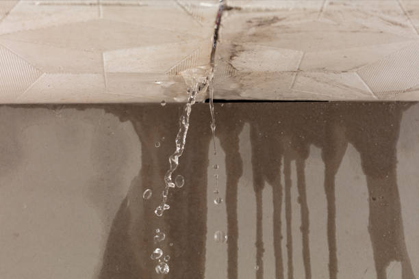 Professional Flood Damage Cleanup technician working in Vance, AL